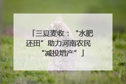 三夏麦收：“水肥还田”助力河南农民“减投增产”
