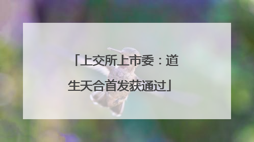 上交所上市委：道生天合首发获通过