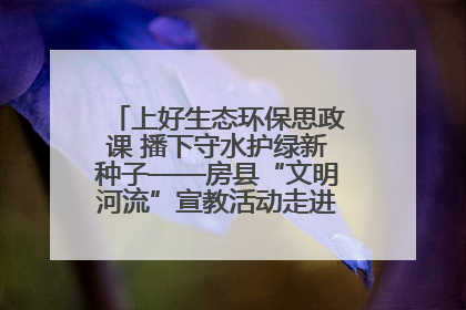 上好生态环保思政课 播下守水护绿新种子——房县“文明河流”宣教活动走进八一希望小学