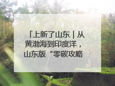 上新了山东｜从黄渤海到印度洋，山东版“零碳攻略”有多能打？