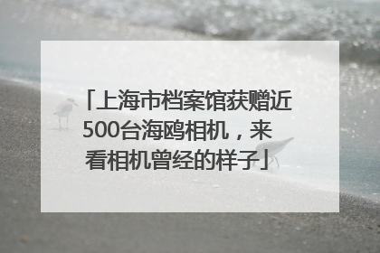 上海市档案馆获赠近500台海鸥相机，来看相机曾经的样子