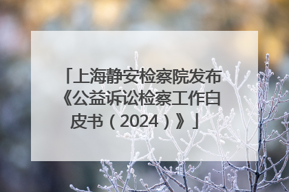 上海静安检察院发布《公益诉讼检察工作白皮书（2024）》