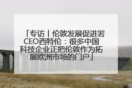 专访丨伦敦发展促进署CEO西特伦：很多中国科技企业正把伦敦作为拓展欧洲市场的门户