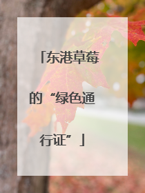 东港草莓的“绿色通行证”