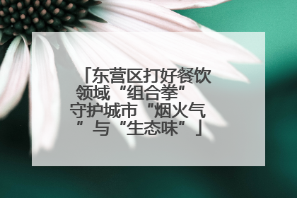 东营区打好餐饮领域“组合拳” 守护城市“烟火气”与“生态味”