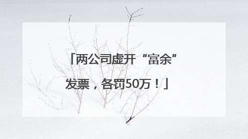 两公司虚开“富余”发票，各罚50万！