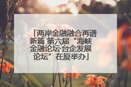 两岸金融融合再谱新篇 第六届“海峡金融论坛·台企发展论坛”在厦举办