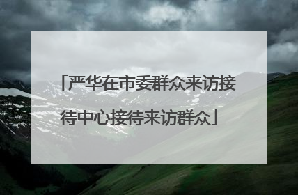 严华在市委群众来访接待中心接待来访群众