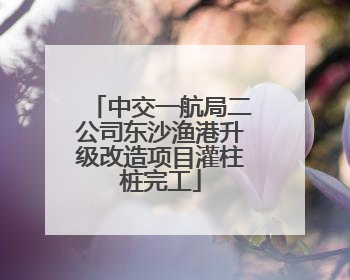 中交一航局二公司东沙渔港升级改造项目灌柱桩完工