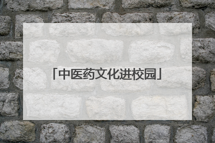 中医药文化进校园