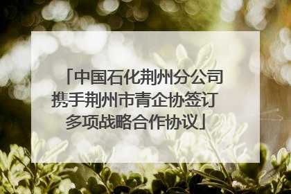 中国石化荆州分公司携手荆州市青企协签订多项战略合作协议