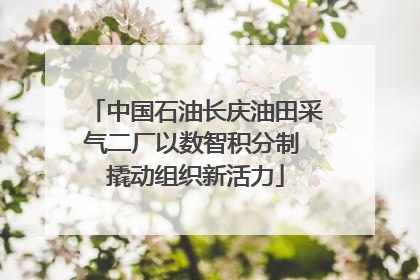 中国石油长庆油田采气二厂以数智积分制 撬动组织新活力