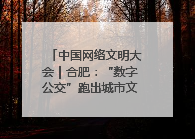 中国网络文明大会｜合肥：“数字公交”跑出城市文明新速度