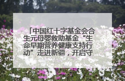 中国红十字基金会合生元母婴救助基金“生命早期营养健康支持行动”走进新疆，开启守护母婴新篇章！