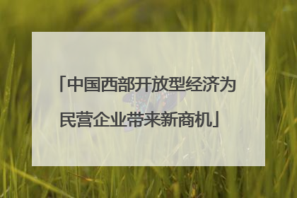 中国西部开放型经济为民营企业带来新商机