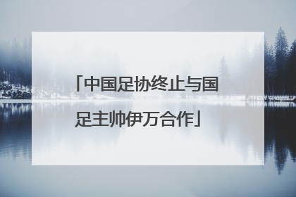 中国足协终止与国足主帅伊万合作