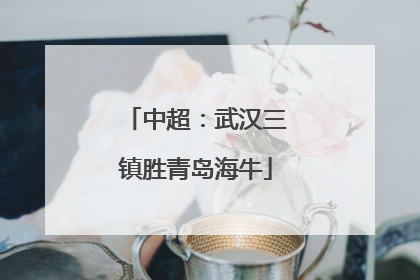 中超：武汉三镇胜青岛海牛