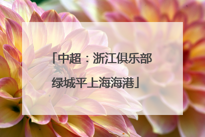 中超：浙江俱乐部绿城平上海海港