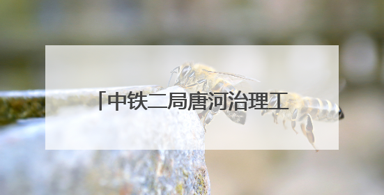 中铁二局唐河治理工程（清苑区段）施工项目河堤修筑顺利完成