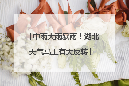 中雨大雨暴雨！湖北天气马上有大反转