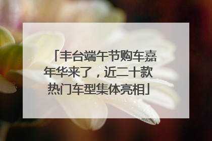 丰台端午节购车嘉年华来了，近二十款热门车型集体亮相