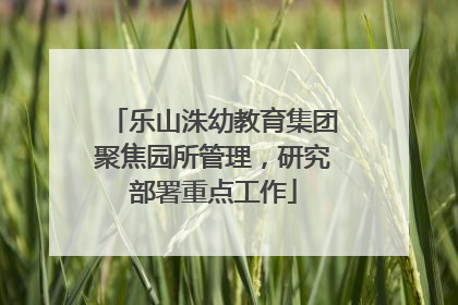 乐山洙幼教育集团聚焦园所管理，研究部署重点工作
