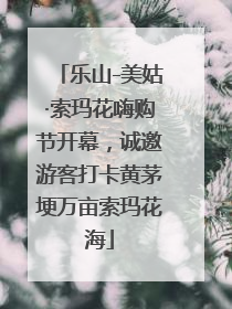乐山-美姑·索玛花嗨购节开幕，诚邀游客打卡黄茅埂万亩索玛花海