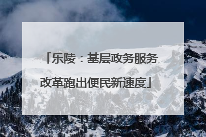 乐陵：基层政务服务改革跑出便民新速度