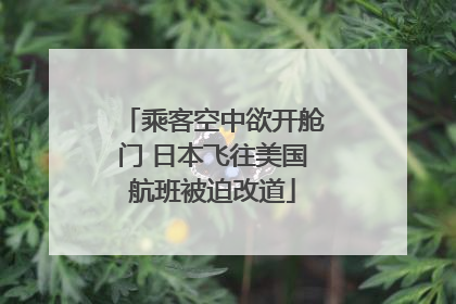 乘客空中欲开舱门 日本飞往美国航班被迫改道