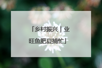 乡村振兴｜业旺鱼肥夏捕忙