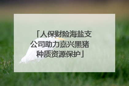 人保财险海盐支公司助力嘉兴黑猪种质资源保护
