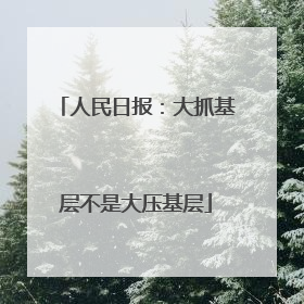 人民日报：大抓基层不是大压基层