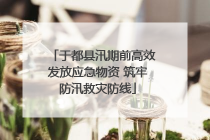 于都县汛期前高效发放应急物资 筑牢防汛救灾防线