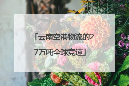 云南空港物流的27万吨全球竞速