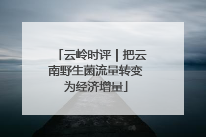 云岭时评｜把云南野生菌流量转变为经济增量