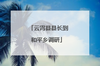 云霄县县长到和平乡调研