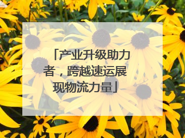 产业升级助力者，跨越速运展现物流力量