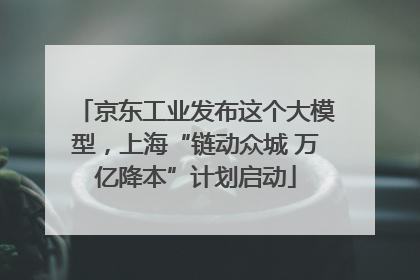 京东工业发布这个大模型，上海“链动众城 万亿降本”计划启动