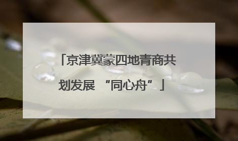 京津冀蒙四地青商共划发展 “同心舟”