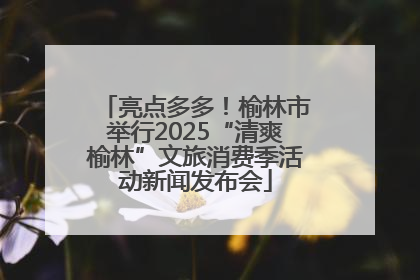 亮点多多！榆林市举行2025“清爽榆林”文旅消费季活动新闻发布会