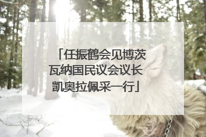 任振鹤会见博茨瓦纳国民议会议长凯奥拉佩采一行