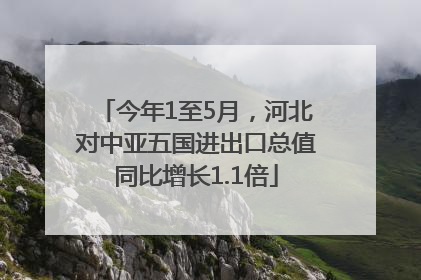 今年1至5月，河北对中亚五国进出口总值同比增长1.1倍