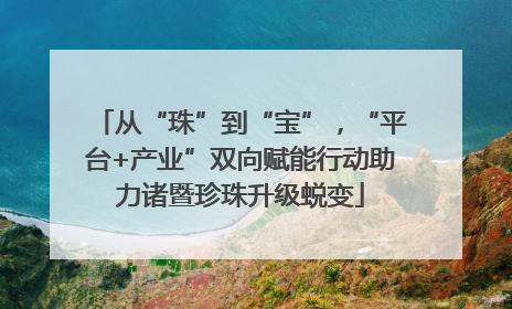 从“珠”到“宝”，“平台+产业”双向赋能行动助力诸暨珍珠升级蜕变