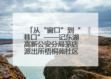 从“窗口”到“巷口”——记东湖高新公安分局茅店派出所梧桐苑社区民警樊艳玲