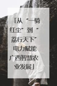 从“一骑红尘”到“荔行天下” 电力赋能广西智慧农业发展