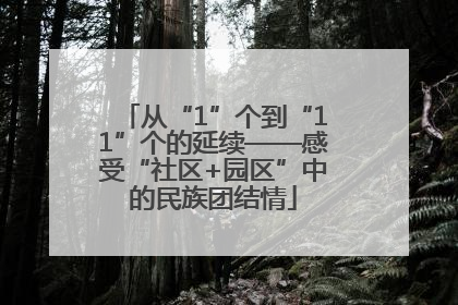从“1”个到“11”个的延续——感受“社区+园区”中的民族团结情