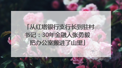从红塔银行支行长到驻村书记：30年金融人张勇毅把办公室搬进了山里