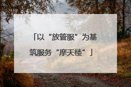 以“放管服”为基筑服务“摩天楼”