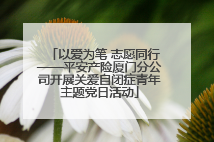 以爱为笔 志愿同行——平安产险厦门分公司开展关爱自闭症青年主题党日活动