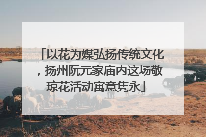 以花为媒弘扬传统文化，扬州阮元家庙内这场敬琼花活动寓意隽永